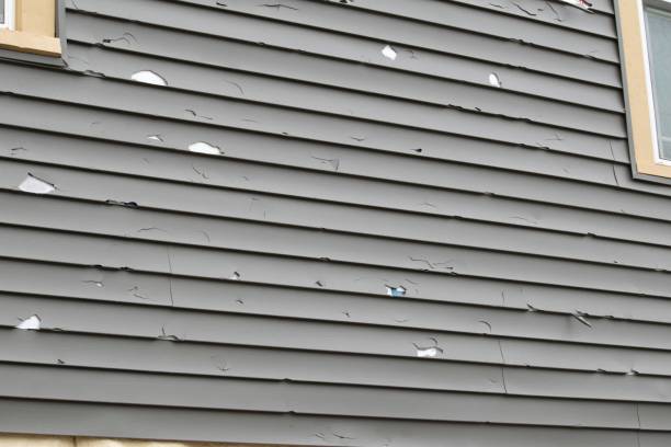 Best Stucco Siding  in Chesterland, OH
